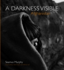 Image for Afghanistan  : a darkness visible