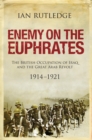 Image for Enemy on the Euphrates: the British occupation of Iraq and the Great Arab Revolt, 1914-1921