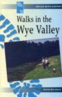 Image for Walks with History Series: Walks in the Wye Valley