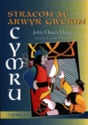 Image for Straeon ac Arwyr Gwerin Cymru - Cyfrol 2