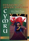 Image for Straeon ac Arwyr Gwerin Cymru - Cyfrol 3