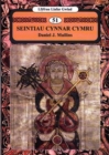 Image for Seintiau cynnar Cymru