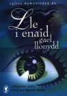 Image for Cyfres Dymuniadau Da: Lle i Enaid Gael Llonydd