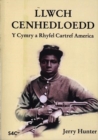 Image for Llwch Cenhedloedd - Y Cymry a Rhyfel Cartref America