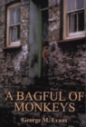 Image for Bagful of Monkeys, A