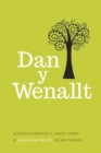 Image for Dan y Wenallt