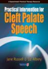 Image for Practical intervention for cleft palate speech