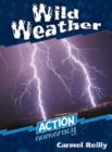 Image for Action Numeracy : Wild weather