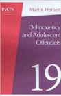 Image for Delinquency and Young Offenders