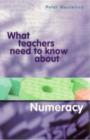 Image for What Teachers Need to Know about Numeracy