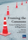 Image for Framing The Commons : Cross-Cutting Issues in Regulation