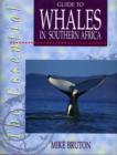 Image for Essential guide to whales in Southern Africa