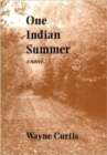 Image for One Indian summer  : a novel