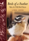 Image for Birds of a feather  : tales of a wild bird haven