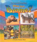 Image for What is a Biome?