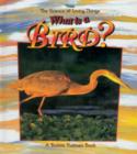 Image for What is a Bird?