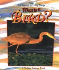 Image for What Is A Bird