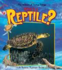 Image for What Is A Reptile