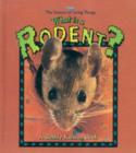 Image for What is a Rodent?