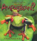 Image for What is an Amphibian?