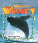 Image for What is a Whale?