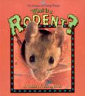 Image for What Is A Rodent?