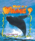 Image for What Is A Whale
