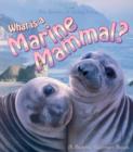 Image for What is a marine mammal?