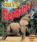 Image for What is an Elephant