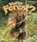 Image for What is a Forest