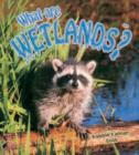 Image for What Are Wetlands