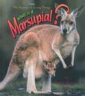 Image for What is a Marsupial?