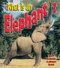 Image for What is an Elephant?