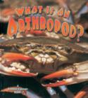 Image for What is an Arthropod?