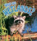 Image for What are Wetlands?