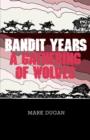 Image for Bandit Years