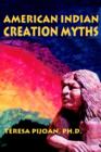 Image for American Indian Creation Myths
