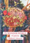 Image for The Wonder World of Ants