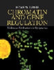 Image for Chromatin and Gene Regulation : Molecular Mechanisms in Epigenetics