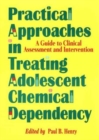 Image for Practical Approaches in Treating Adolescent Chemical Dependency : A Guide to Clinical Assessment and Intervention