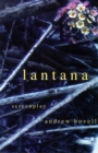 Image for Lantana