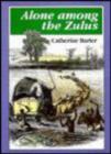 Image for Alone Among the Zulus
