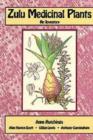 Image for Zulu Medicinal Plants