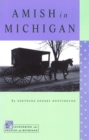 Image for Amish in Michigan