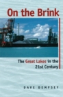Image for On the brink  : the Great Lakes in the 21st century