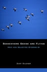 Image for Somewhere Geese are Flying