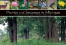 Image for Prairies and Savannas in Michigan : Rediscovering Our Natural Heritage