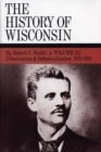 Image for Urbanization &amp; Industrialization 1873-1893: History of Wisconsin, Volume III : Volume 3