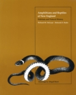 Image for Amphibians and Reptiles of New England