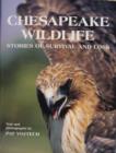 Image for Chesapeake Wildlife : Stories of Survival and Loss